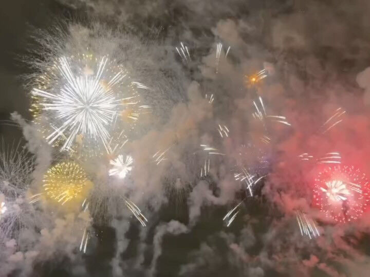 なにわ淀川花火大会を観覧