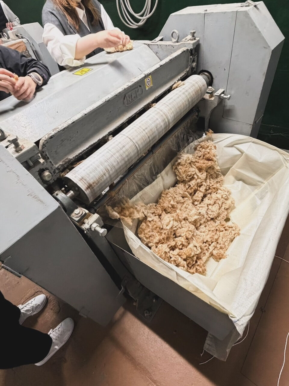 社内で栽培して収穫した綿花の綿と種を分ける作業を