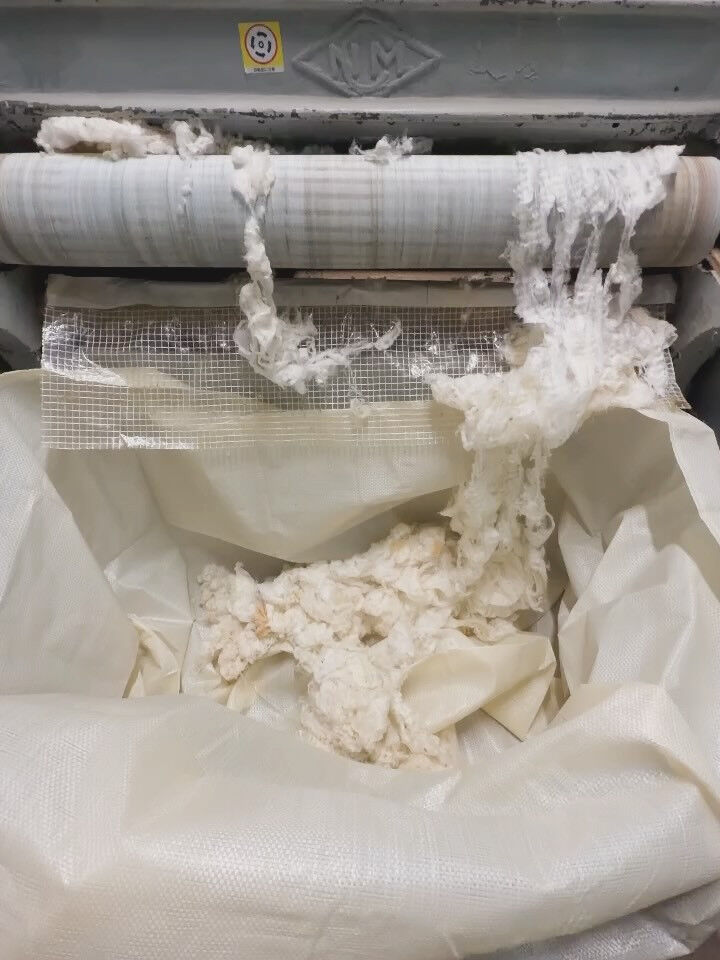 社内で栽培して収穫した綿花の綿と種を分ける作業を