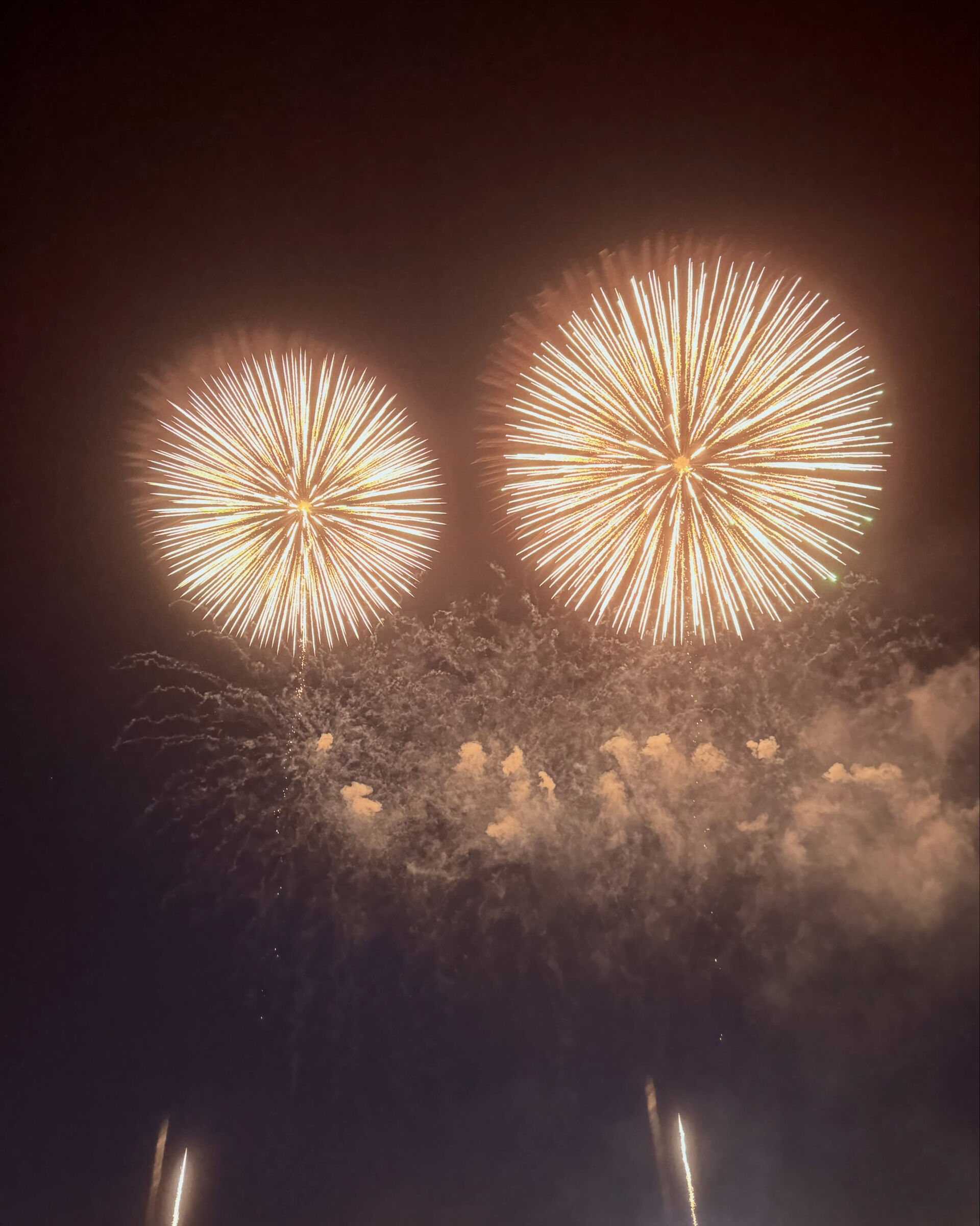 🎆 なにわ淀川花火大会 2026 🎆